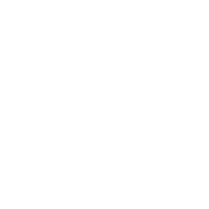 Sustainable Focus