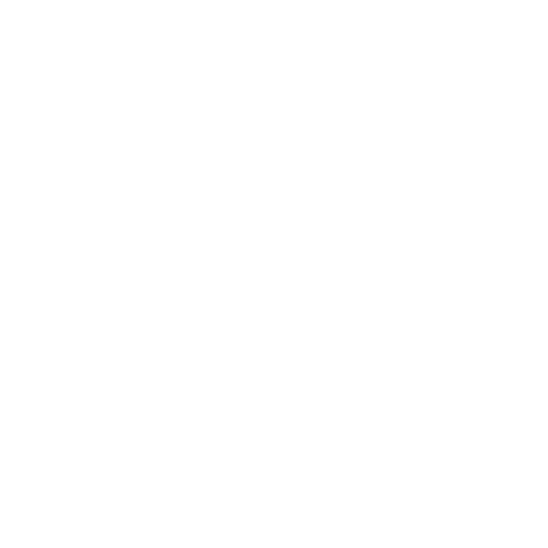 Vision